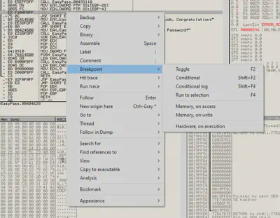 OllyDB Inserting Breakpoint